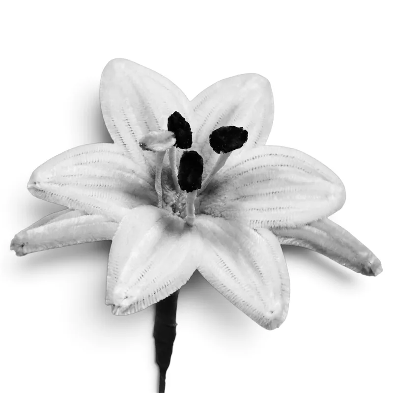 Lily V2