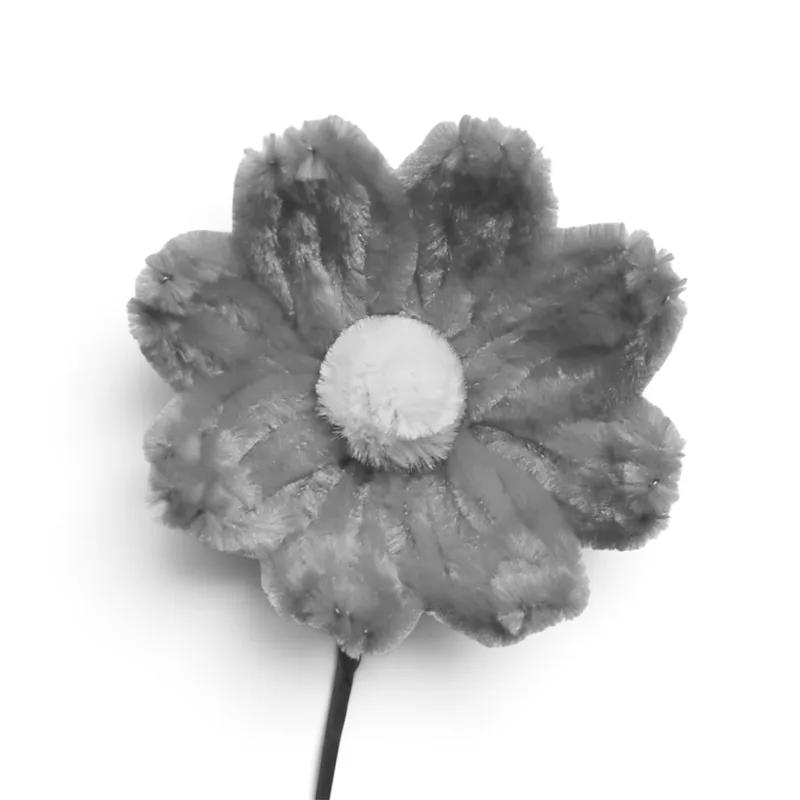 Cosmos