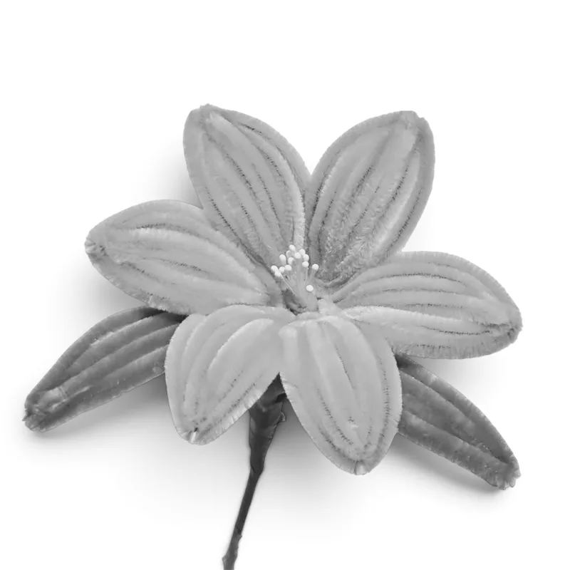 Lily V1