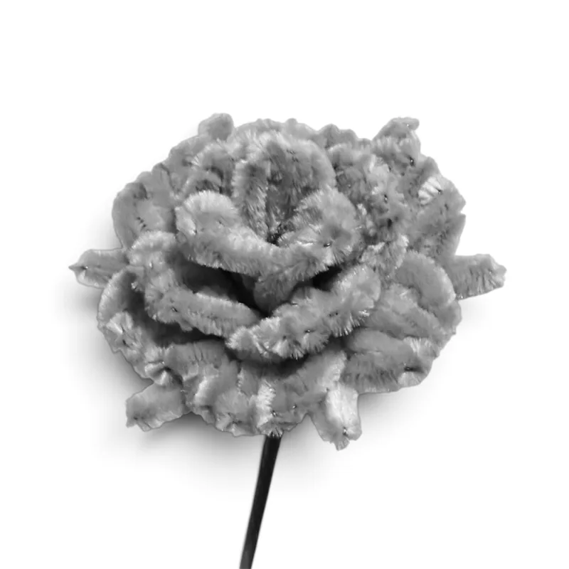 Rose Bloom