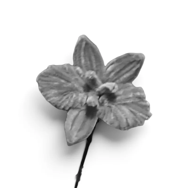 Orchid