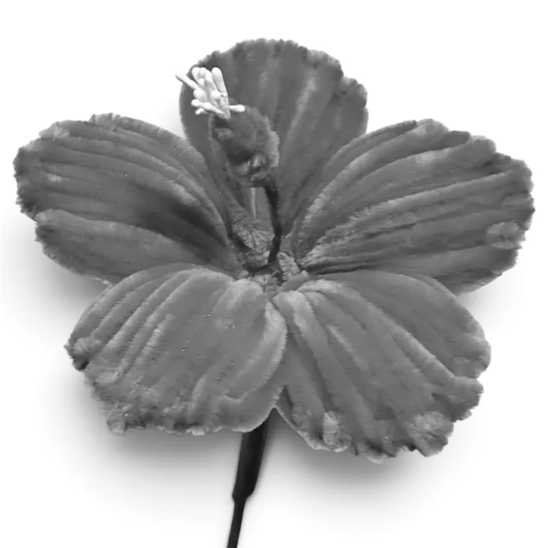 gumamela