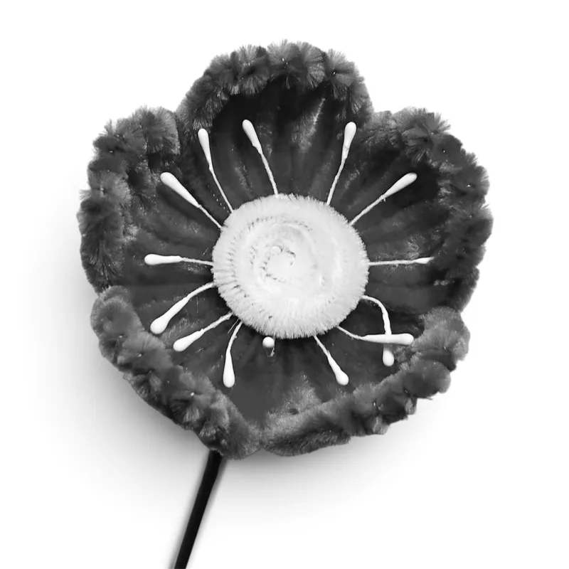poppy