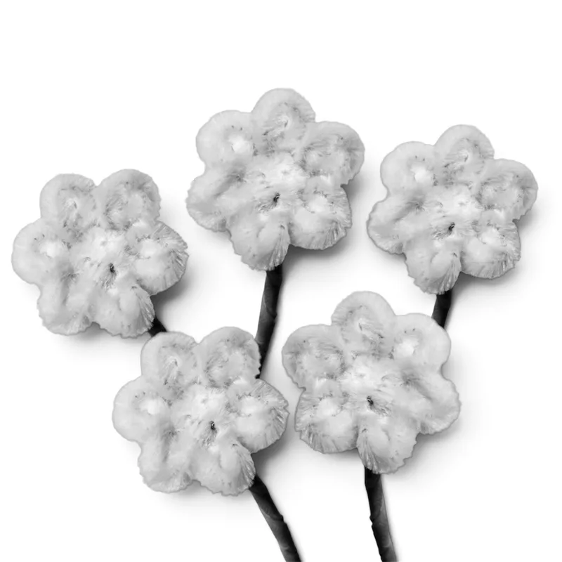 Mini Daisies